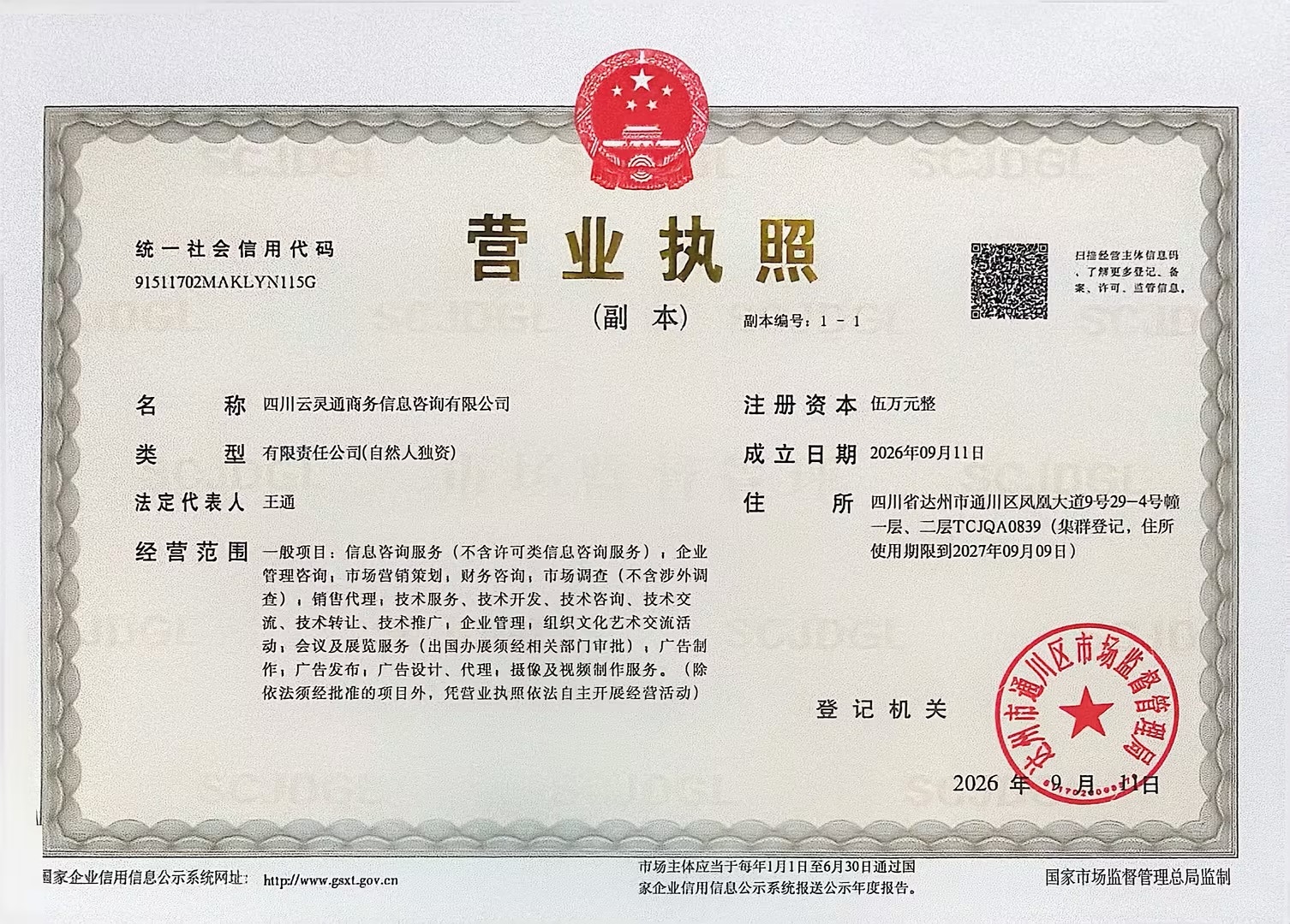 四川云灵通商务信息咨询有限公司