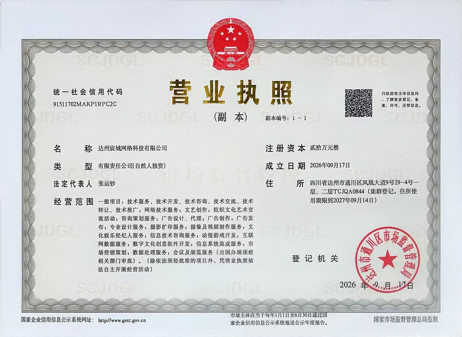 达州宸域网络科技有限公司